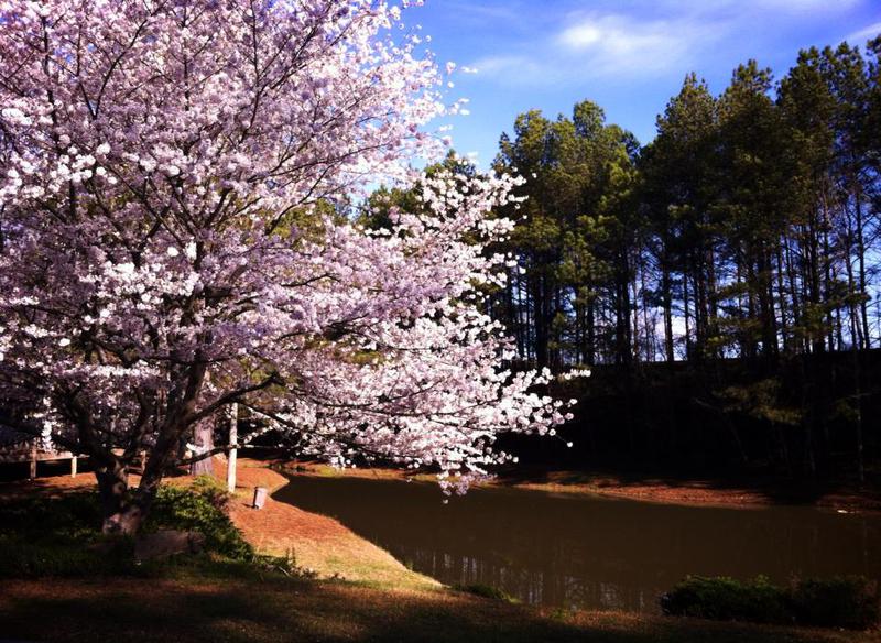 Community life at Logan's Crossing